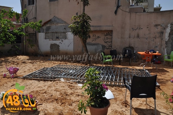 jwala 3amidar3 (15).JPG